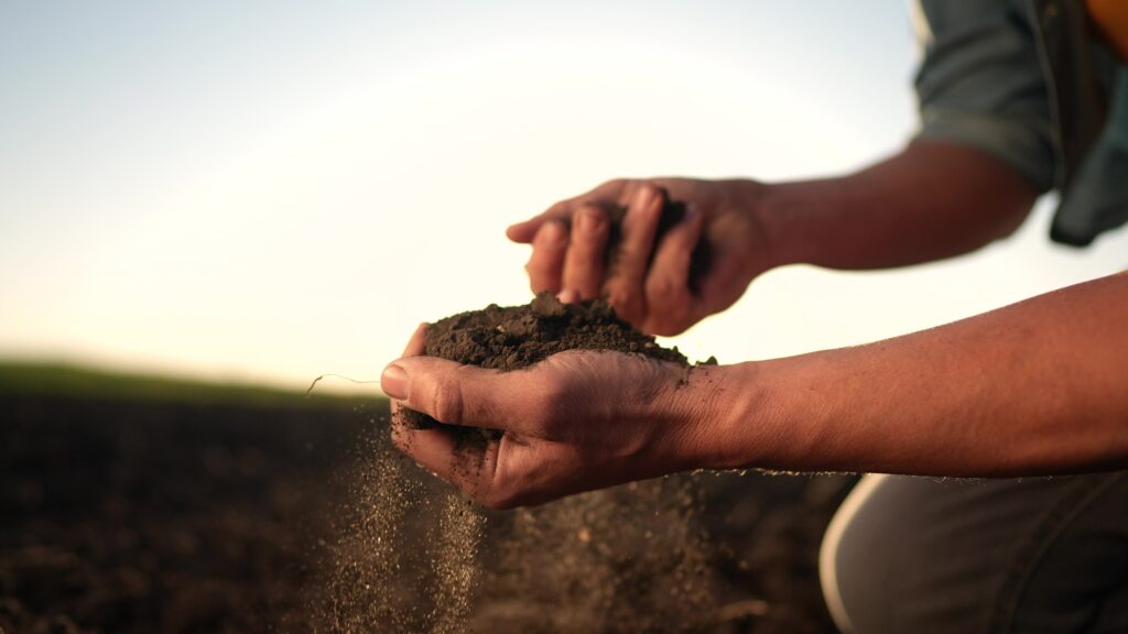 Erde in der Hand eines Landwirtes