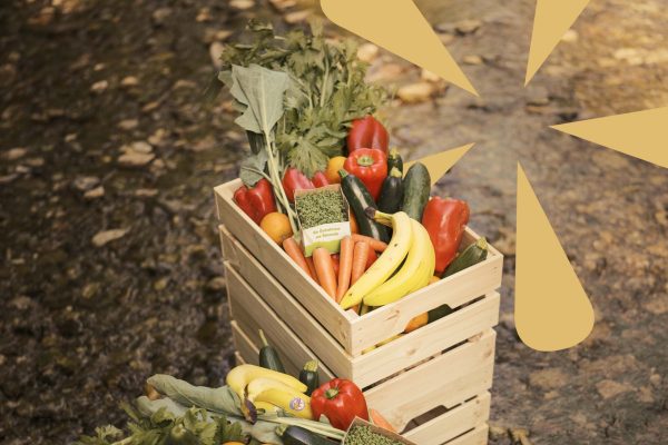 Zwei Holzkisten mit Produkten der Inspeira stehen an einem Flussufer